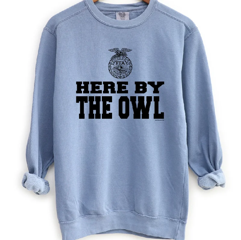 Women's Blouse with V-Shaped HemHere By The Owl Crewneck (S-3XL) - Multiple Colors!